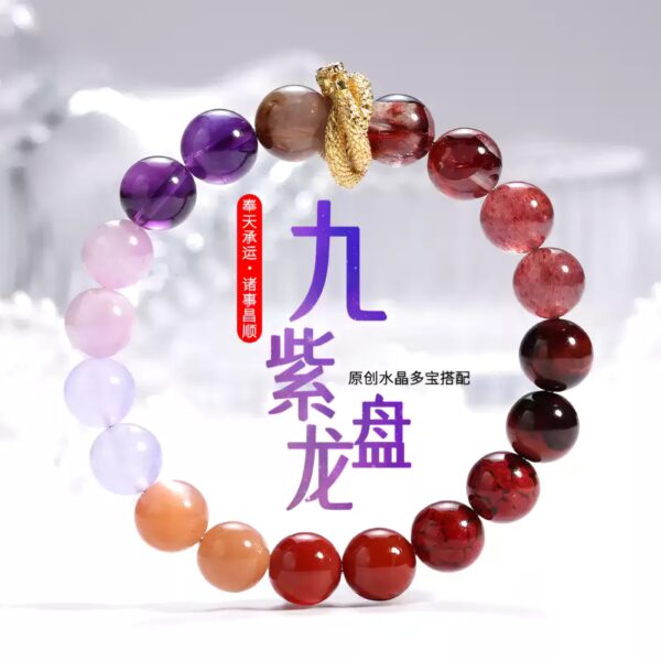 Nine Purple Disc Dragons-01