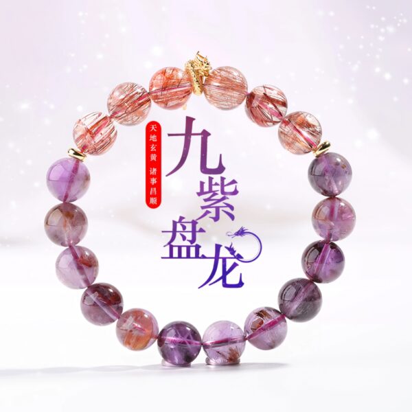 Nine Purple Disc Dragons-02