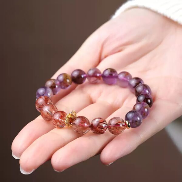 Nine Purple Disc Dragons-02 - Image 2