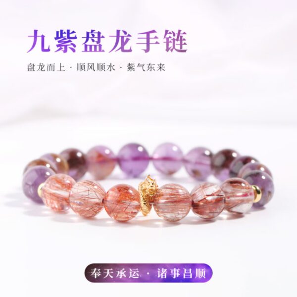 Nine Purple Disc Dragons-02 - Image 3