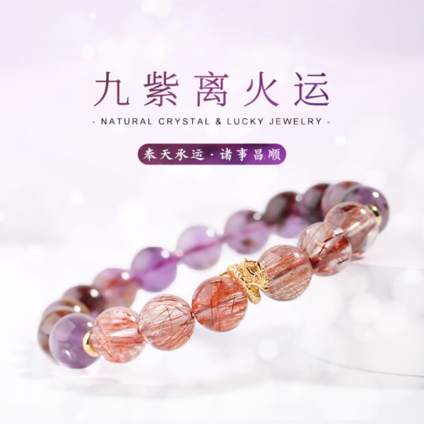 Nine Purple Disc Dragons-02 - Image 4