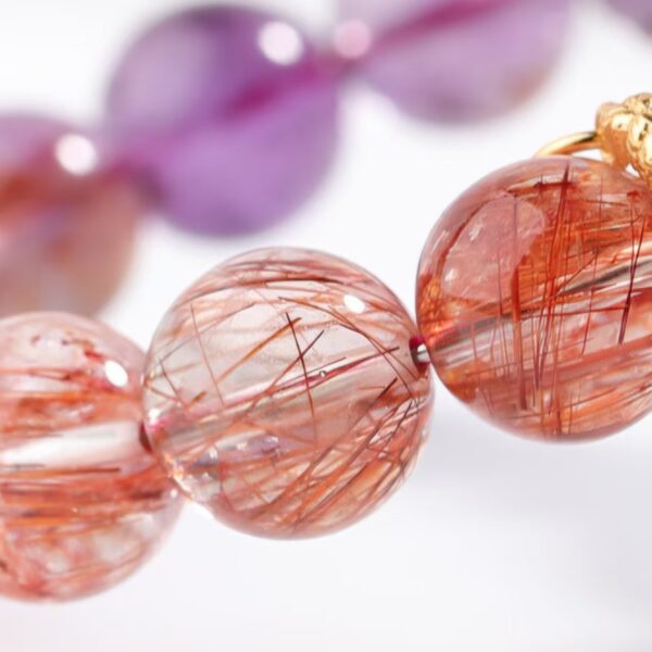 Nine Purple Disc Dragons-02 - Image 8